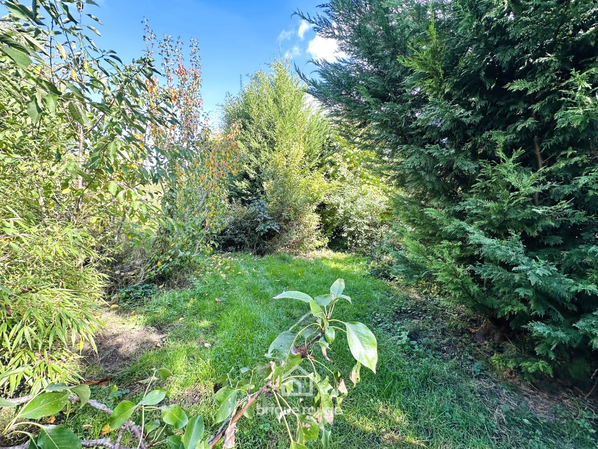 Maison mitoyenne 107 m avec son jardin privatif bethune Photo 11 - Brique Rouge Immobilier